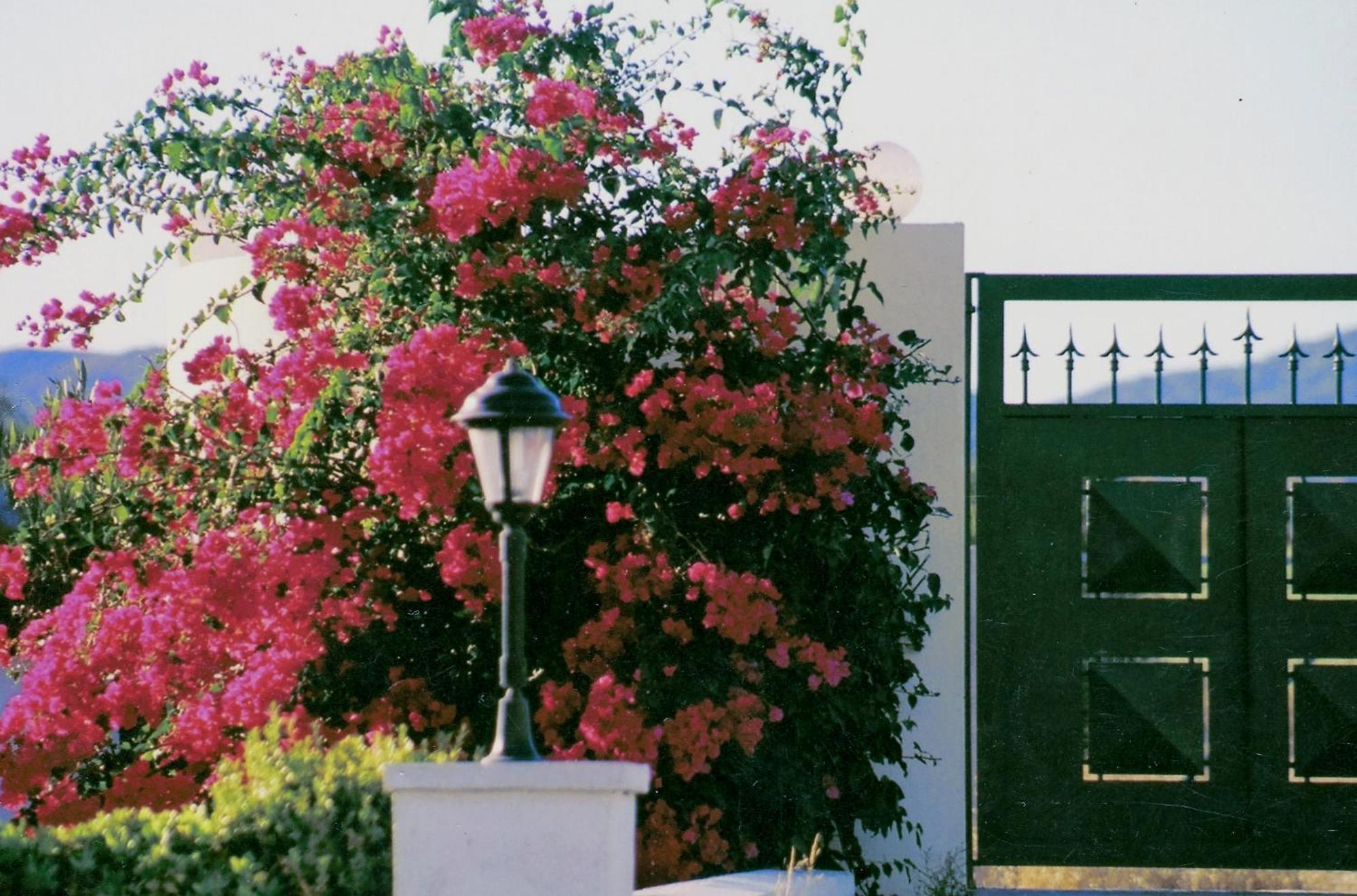 Beach Front Villa Rhodes Seashell Gennadi Exterior foto